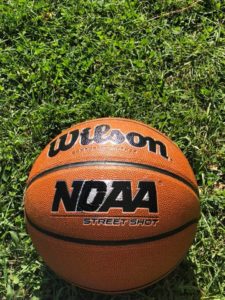 Basketball with NCAA logo doctored to read NDAA.